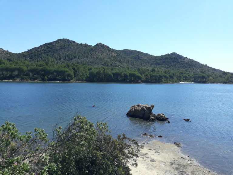 Oasi di Bidderosa
